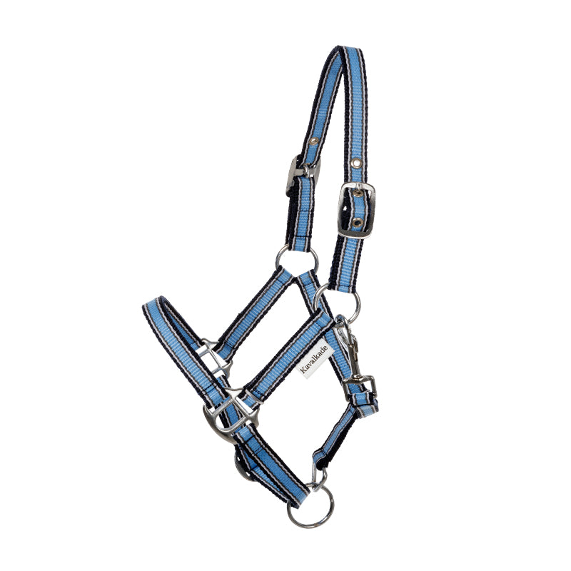 Shettyhalfter "Shorty"