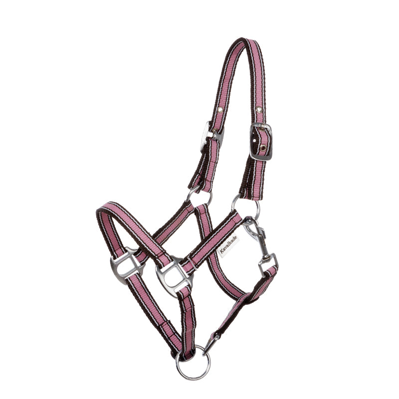 Shettyhalfter "Shorty"