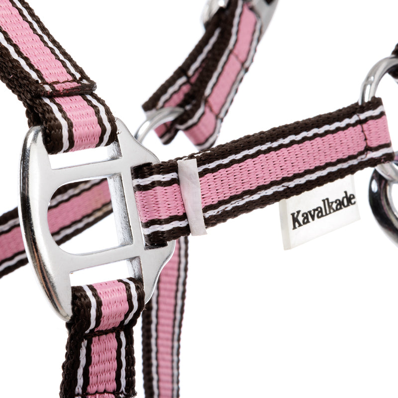 Shettyhalfter "Shorty"