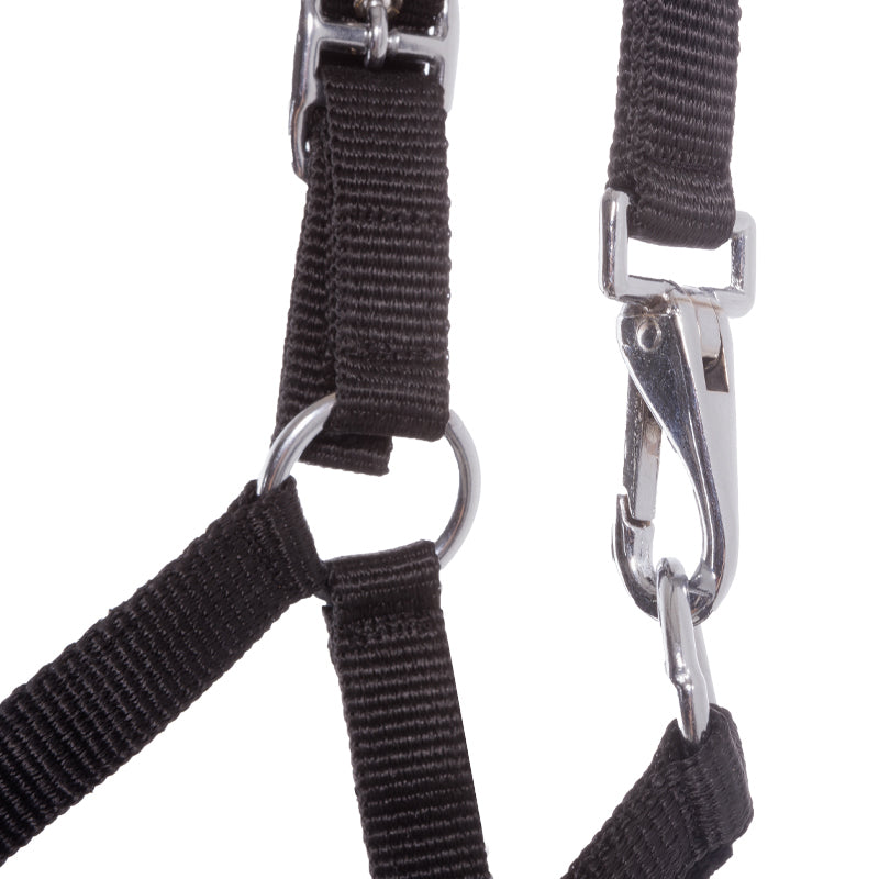 Fohlen- und Jährlingshalfter