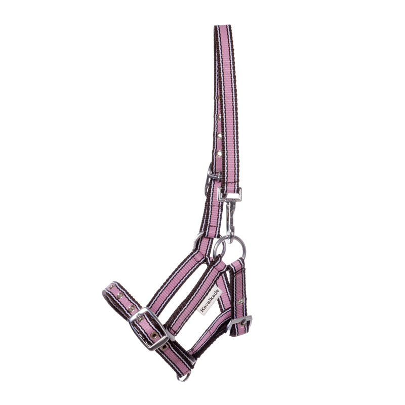 Fohlen- und Jährlingshalfter