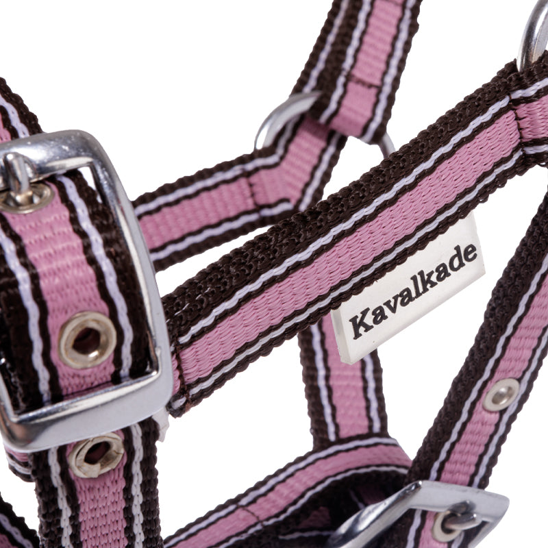 Fohlen- und Jährlingshalfter