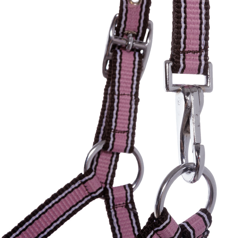 Fohlen- und Jährlingshalfter