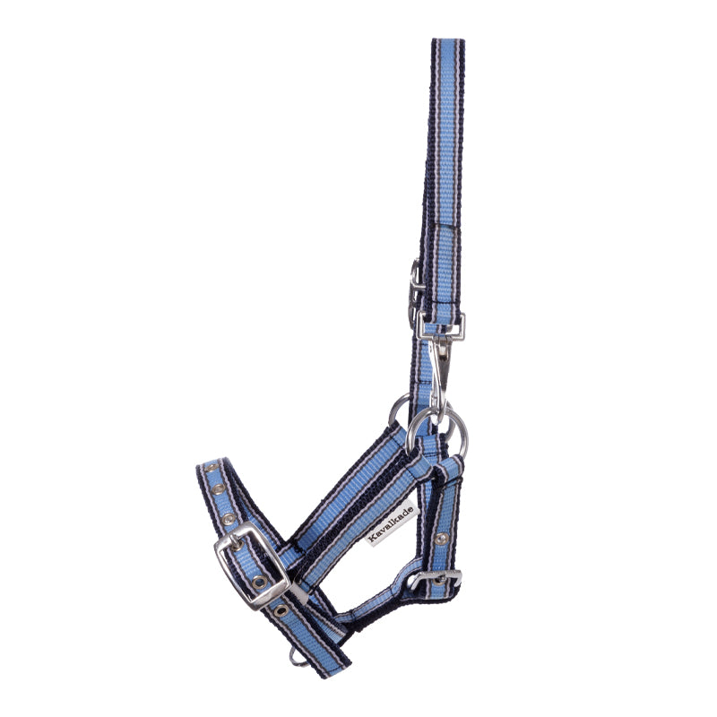 Fohlen- und Jährlingshalfter