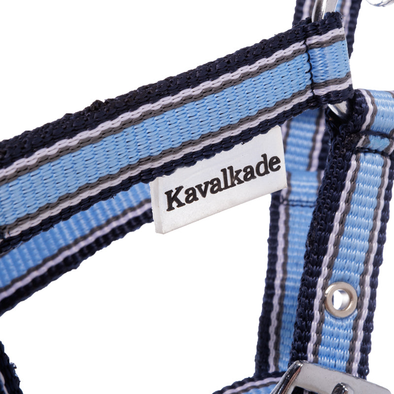 Fohlen- und Jährlingshalfter