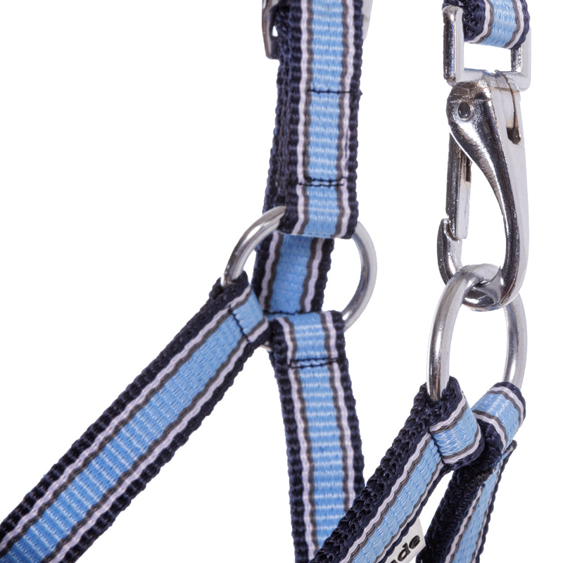 Fohlen- und Jährlingshalfter