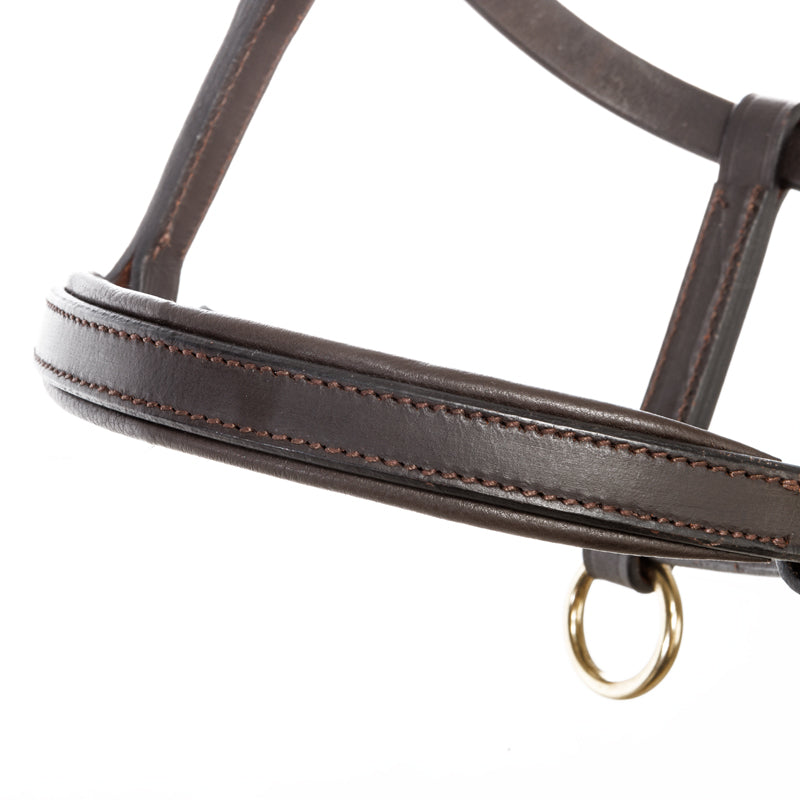 Lederfohlen- und Jährlingshalfter
