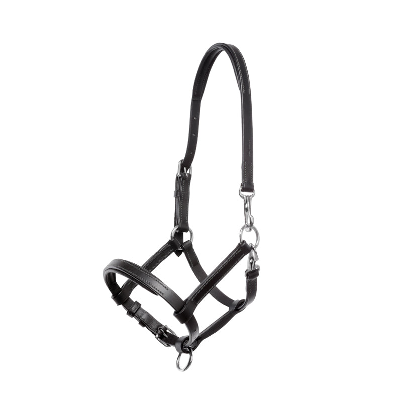 Lederfohlen- und Jährlingshalfter