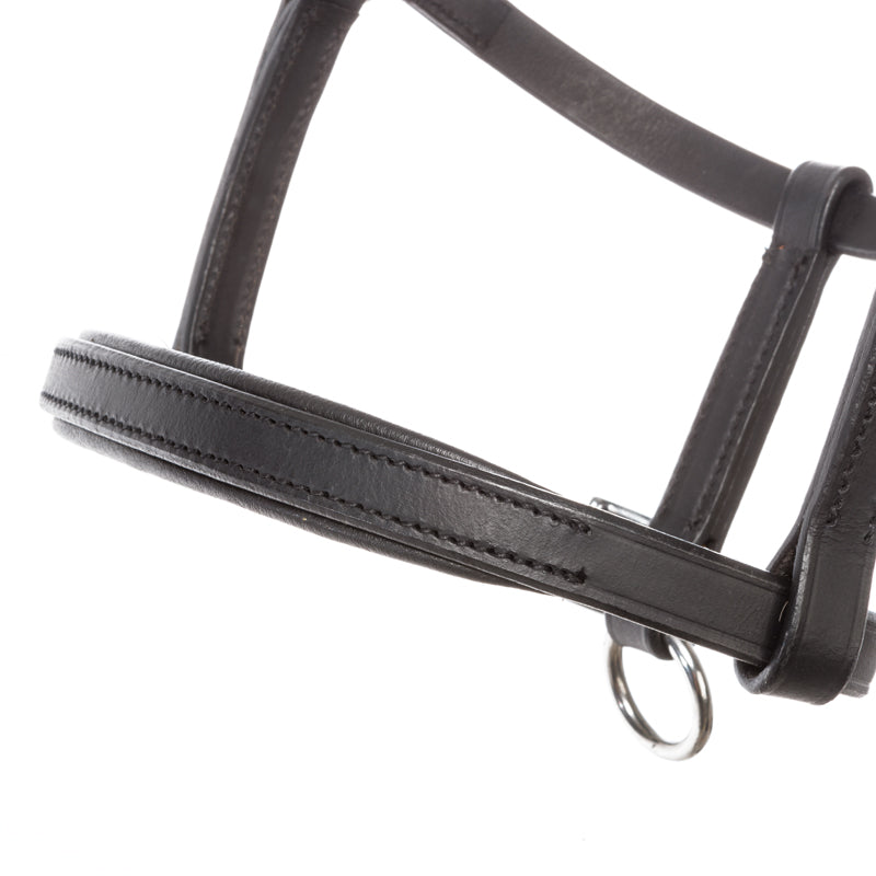 Lederfohlen- und Jährlingshalfter