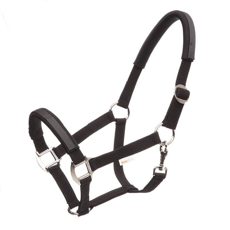 "KavalLastic" Sicherheitshalfter