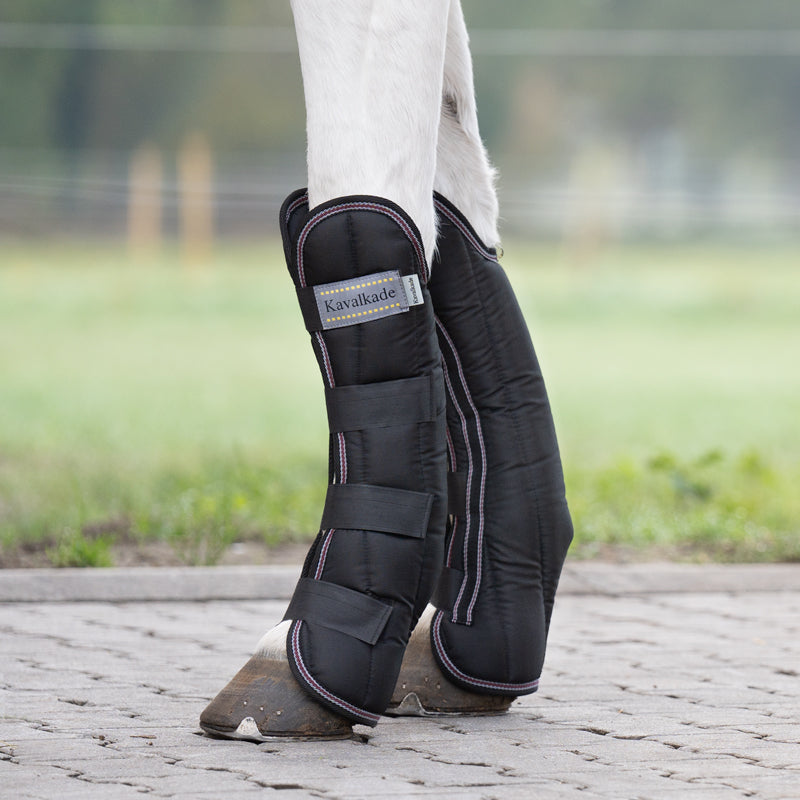 Transportgamaschen "Montreal" 4er-Set