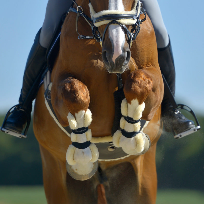 Hartschalen-Gamaschen "Compete 'n Wool"