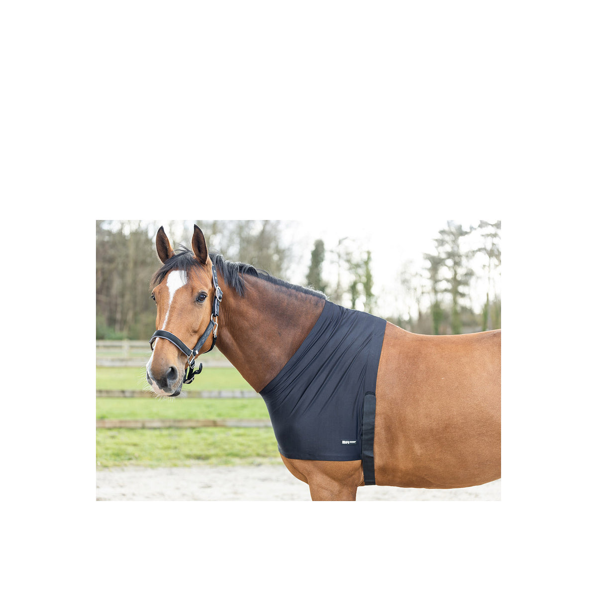 BR Brustschutz Soft Motion