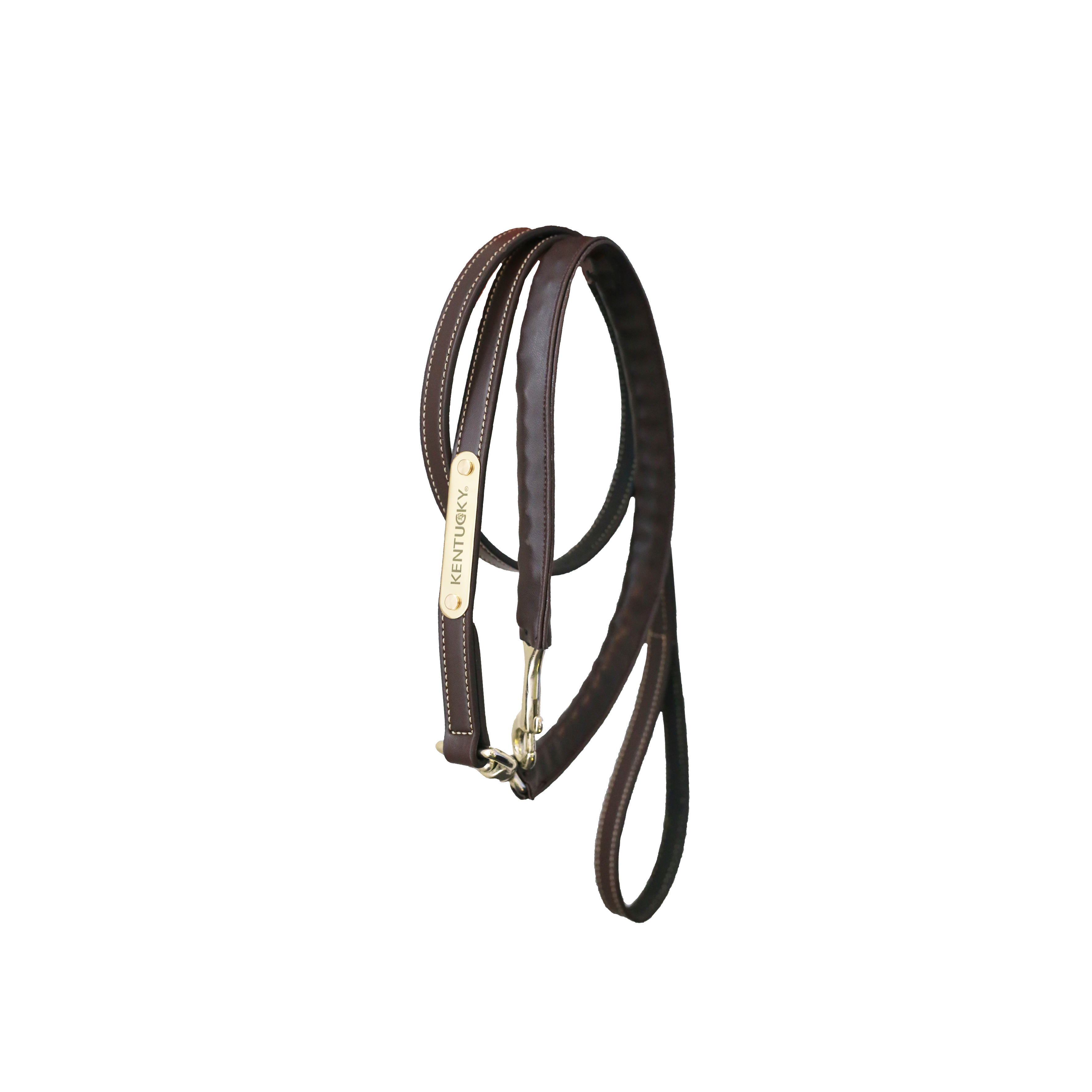 Führleine Leather Covered Chain