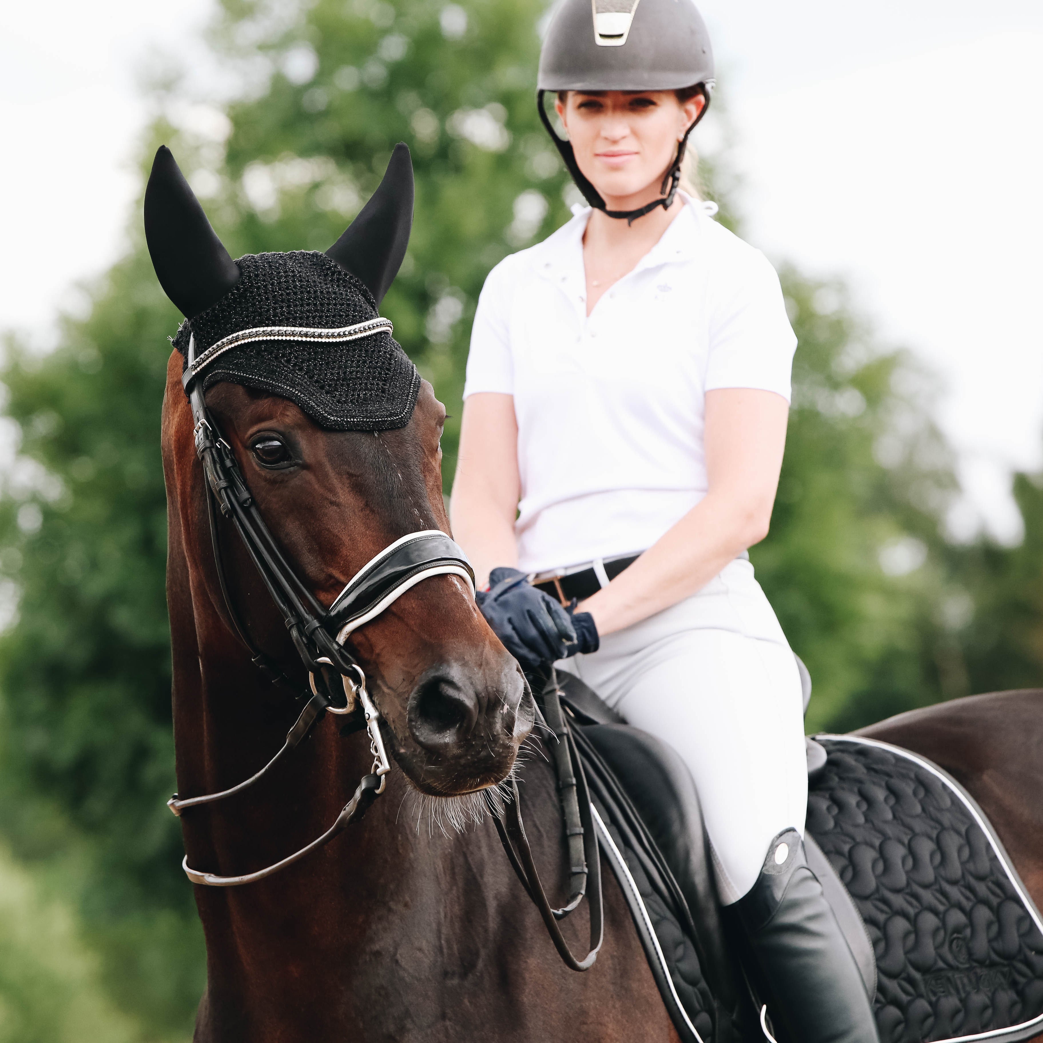 Fliegenhaube Wellington Sparkling