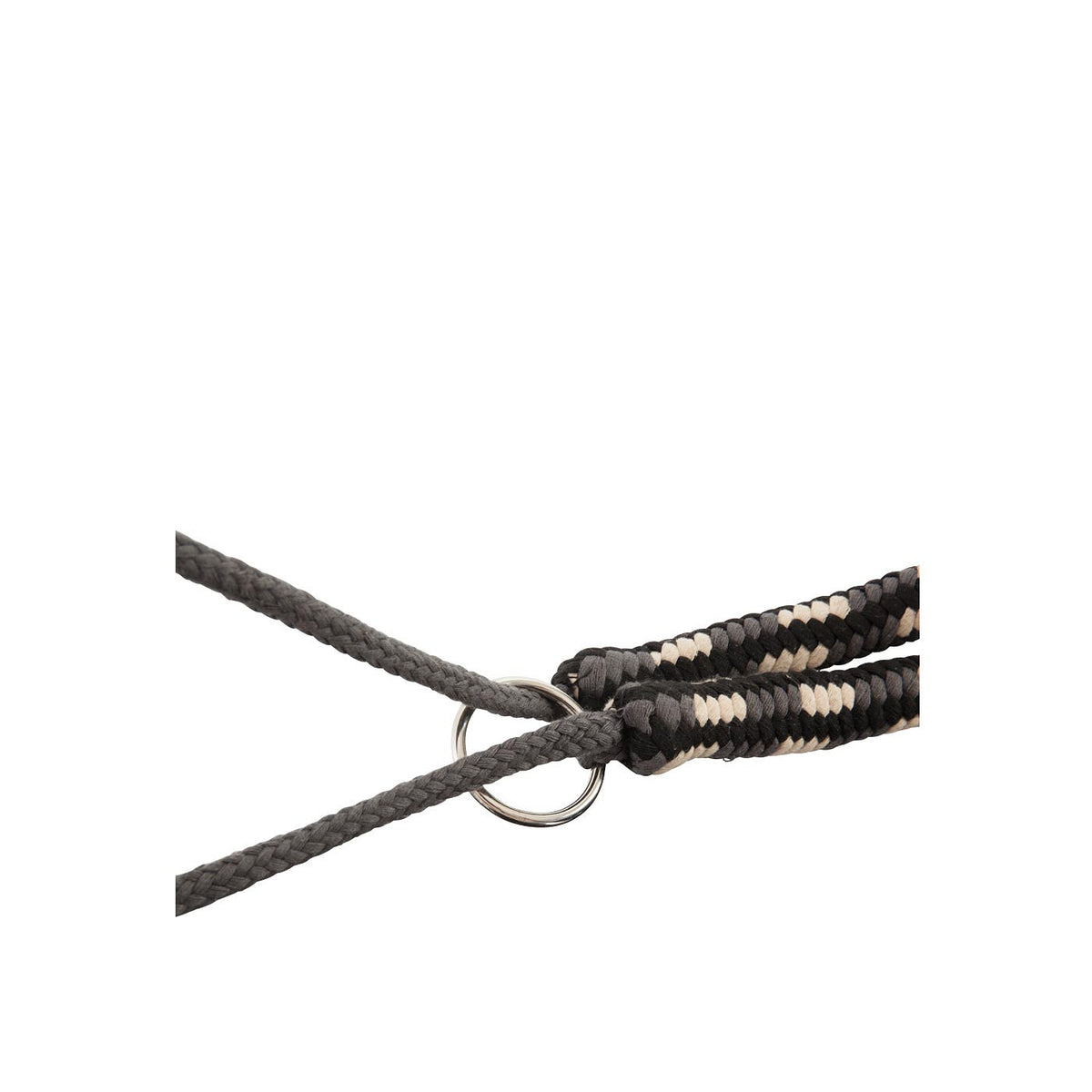 BR Lunging Aid ?