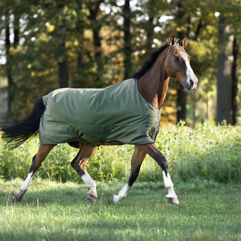 Outdoordecke Montreal 0 g