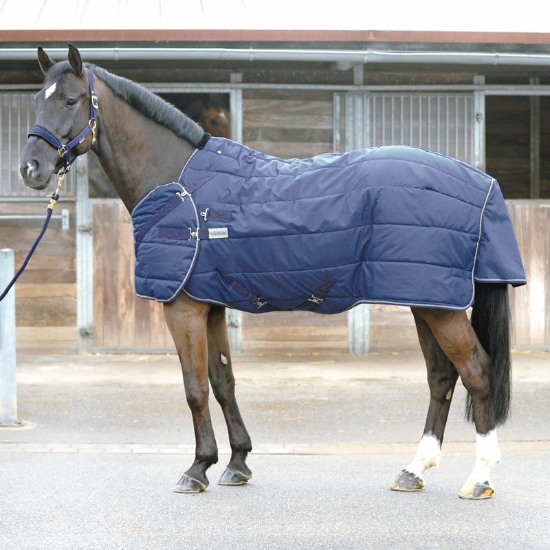 Stall- und Führanlagendecke 2in1 "Halifax 200 g