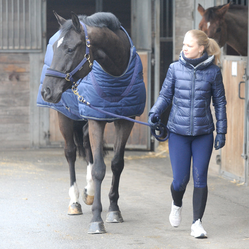 Stall- und Führanlagendecke 2in1 "Halifax 200 g