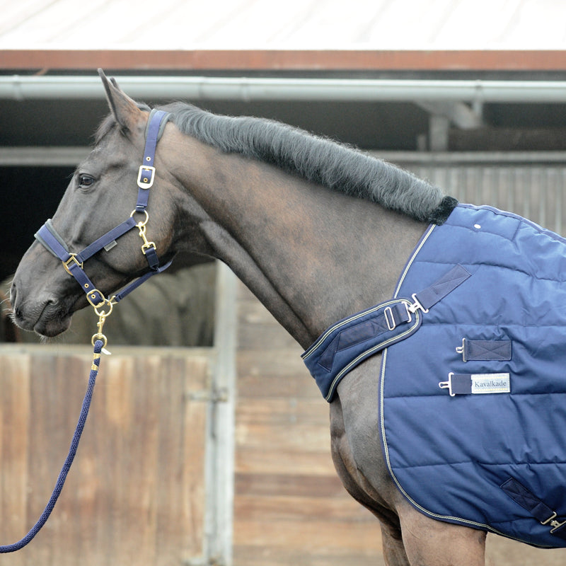 Stall- und Führanlagendecke 2in1 "Halifax 400 g