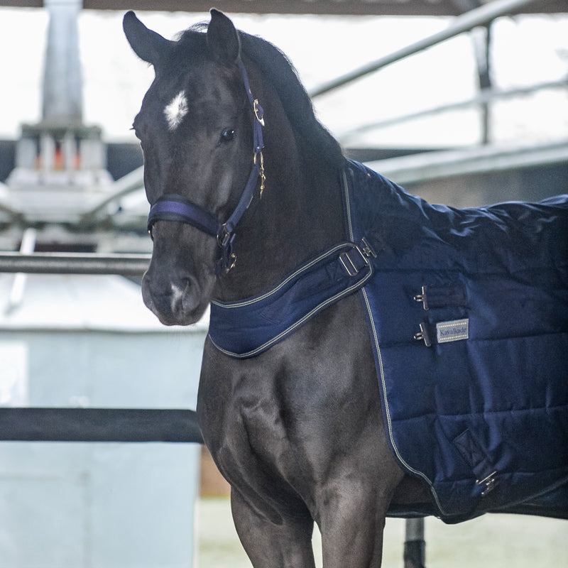 Stall- und Führanlagendecke 2in1 "Halifax 400 g