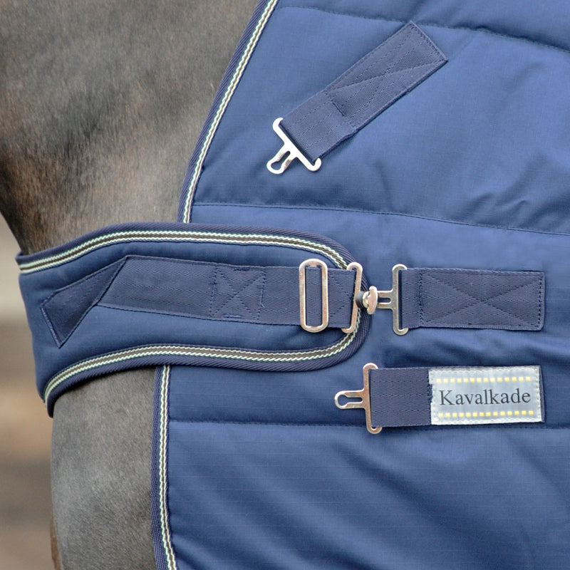 Stall- und Führanlagendecke 2in1 "Halifax 400 g