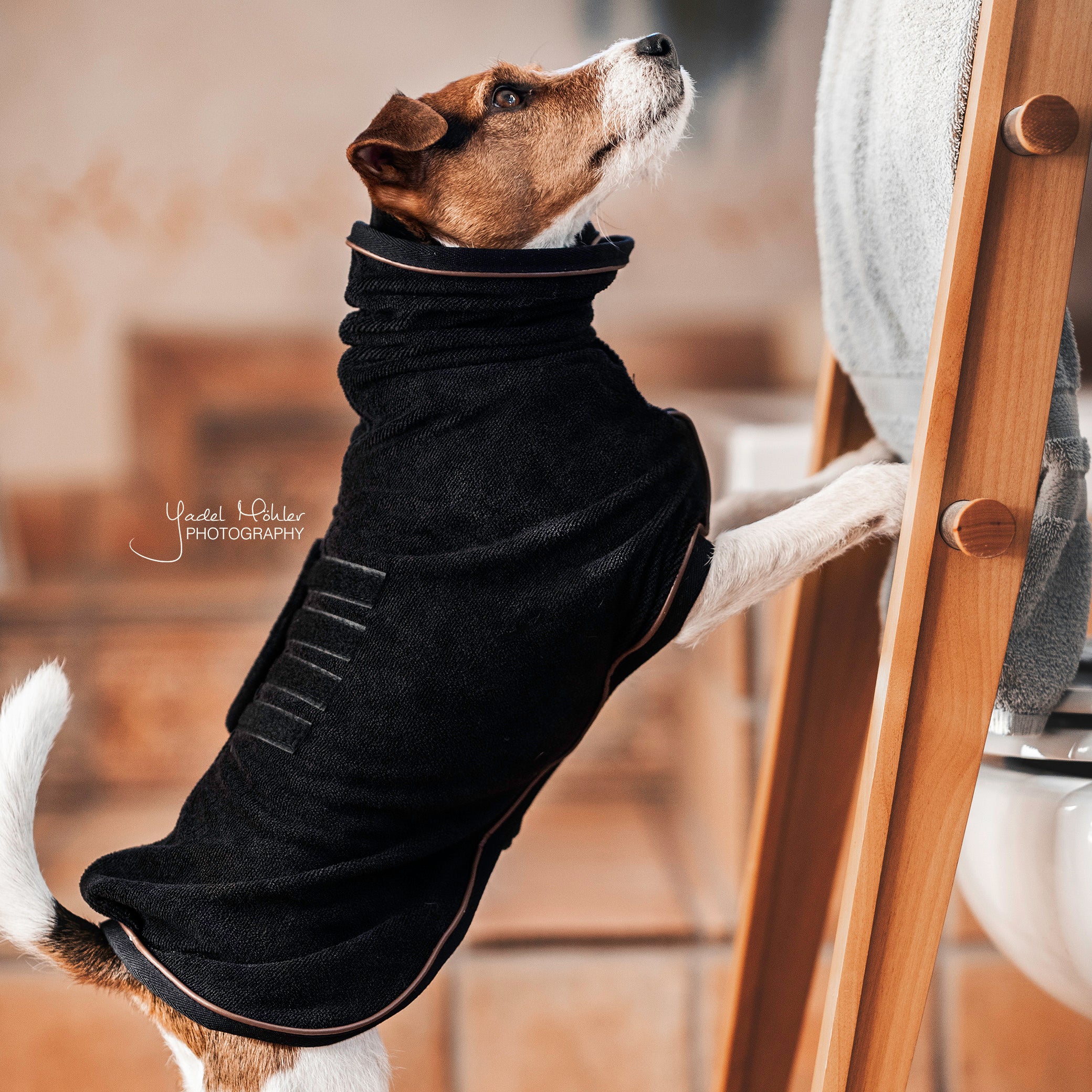 Hundemantel Towel Schwartz 76