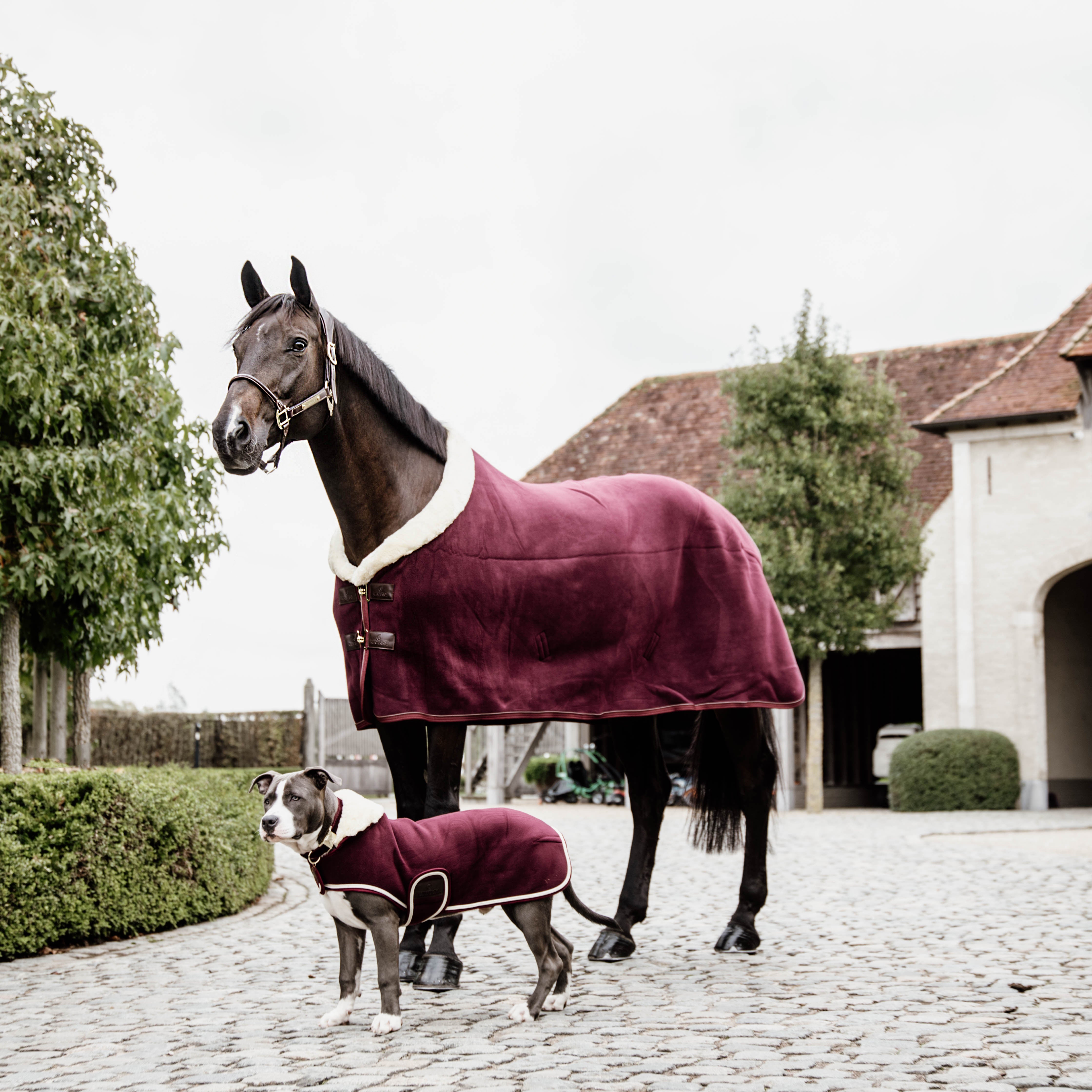 Hundemantel Schwer Fleece