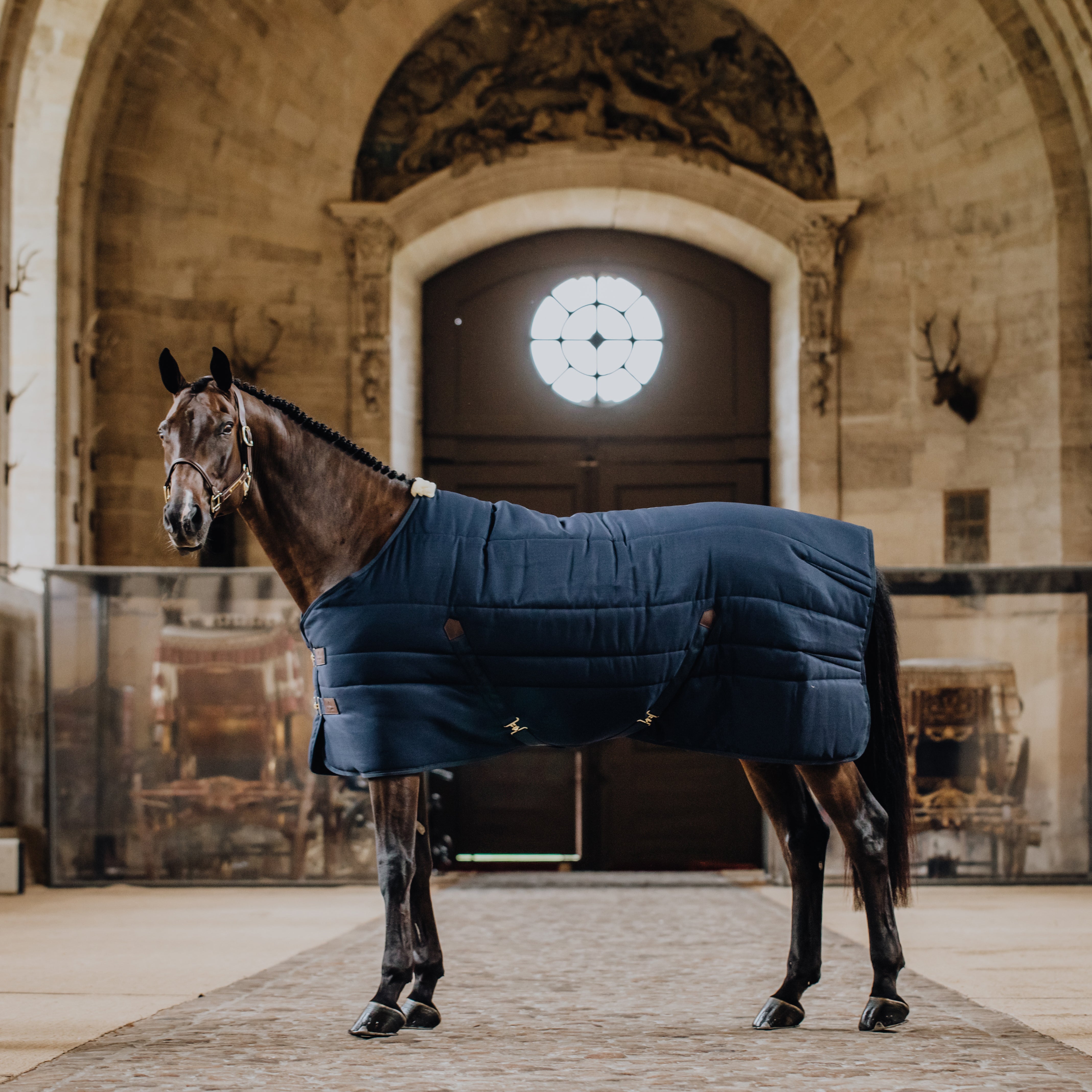 Stalldecke Classic 155