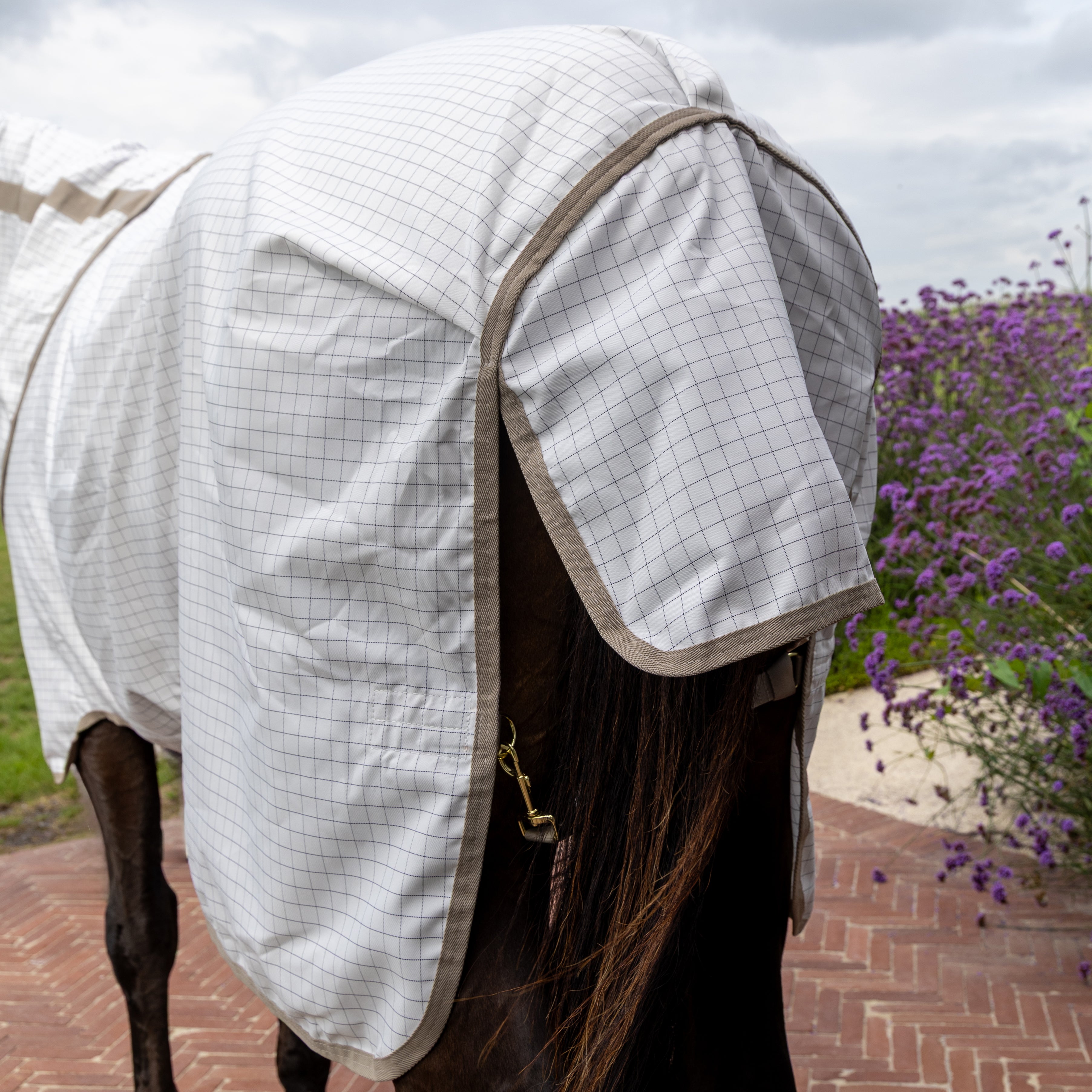 Sweet Itch Fliegen Sommerdecke 125 5