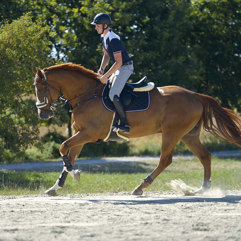 Reitstiefel "Maximus"