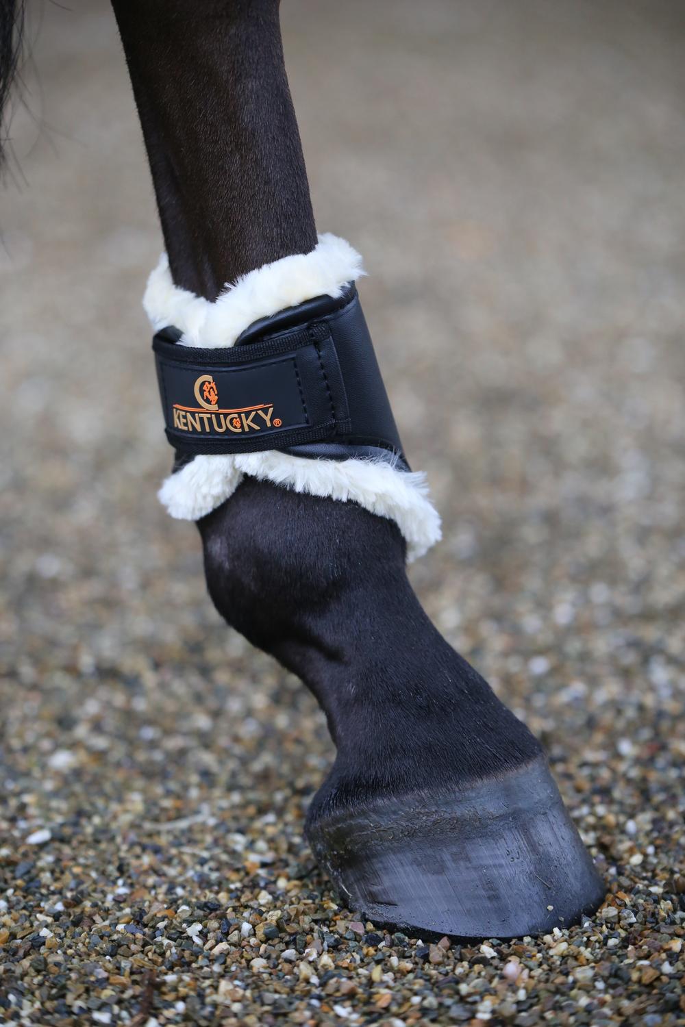 Brushing Boots Leather Hind Short - Kentucky Horsewear