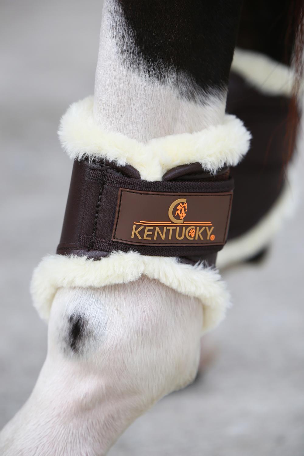 Brushing Boots Leather Hind Short - Kentucky Horsewear