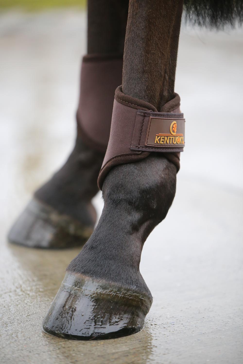 Brushing Boots 3D Spacer Hind Short - Kentucky Horsewear