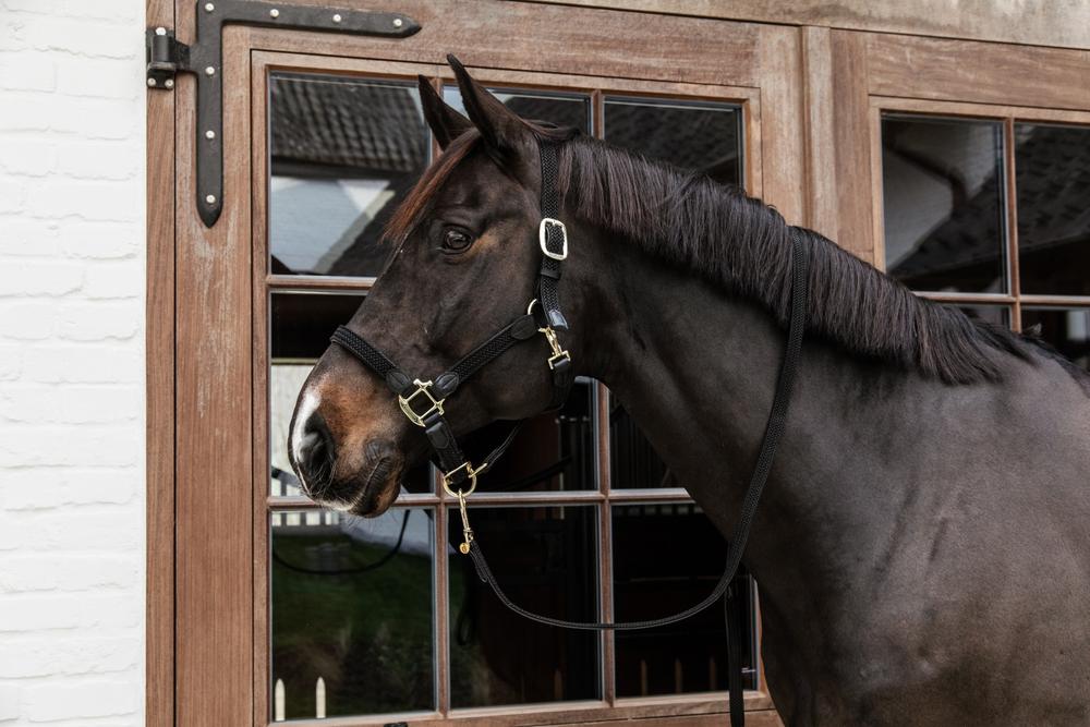Halfter Plaited Nylon - Kentucky Horsewear