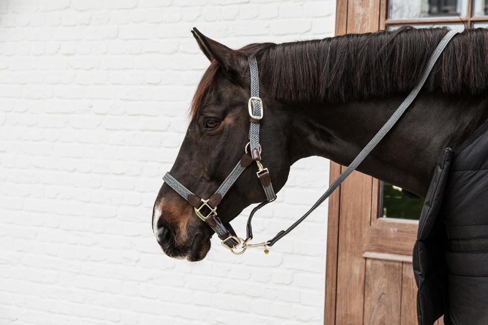 Halfter Plaited Nylon - Kentucky Horsewear