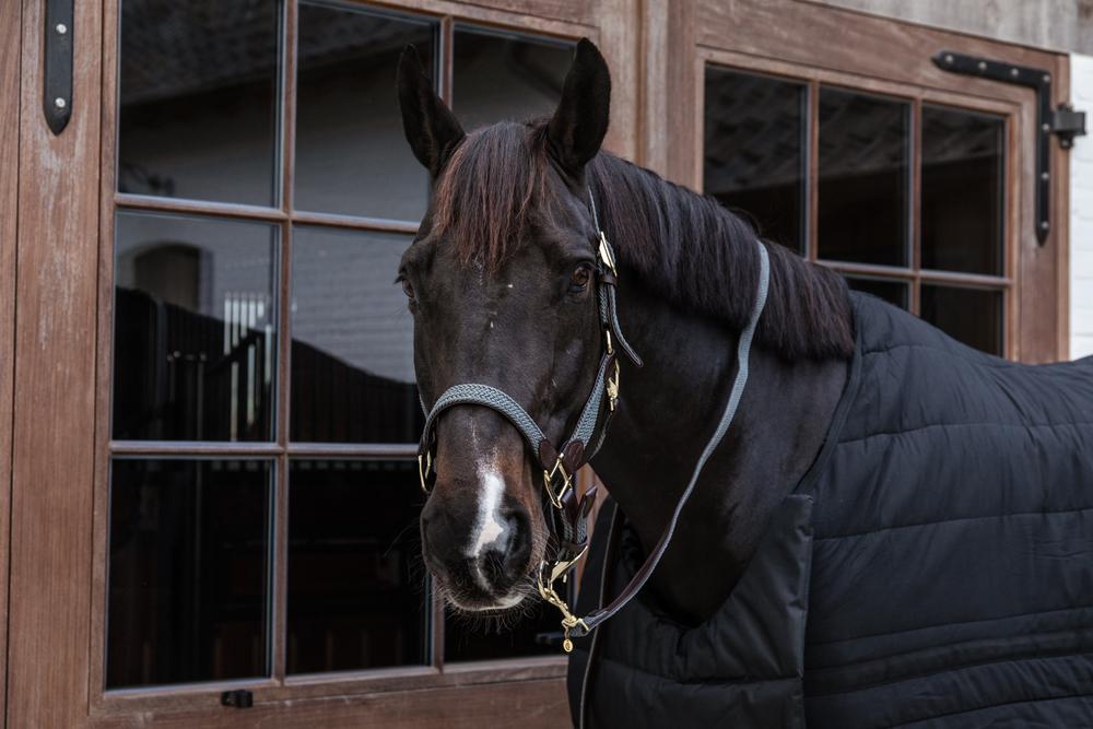 Leine Plaited Nylon - Kentucky Horsewear