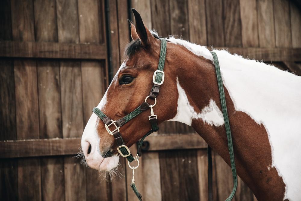 Leine Plaited Nylon - Kentucky Horsewear