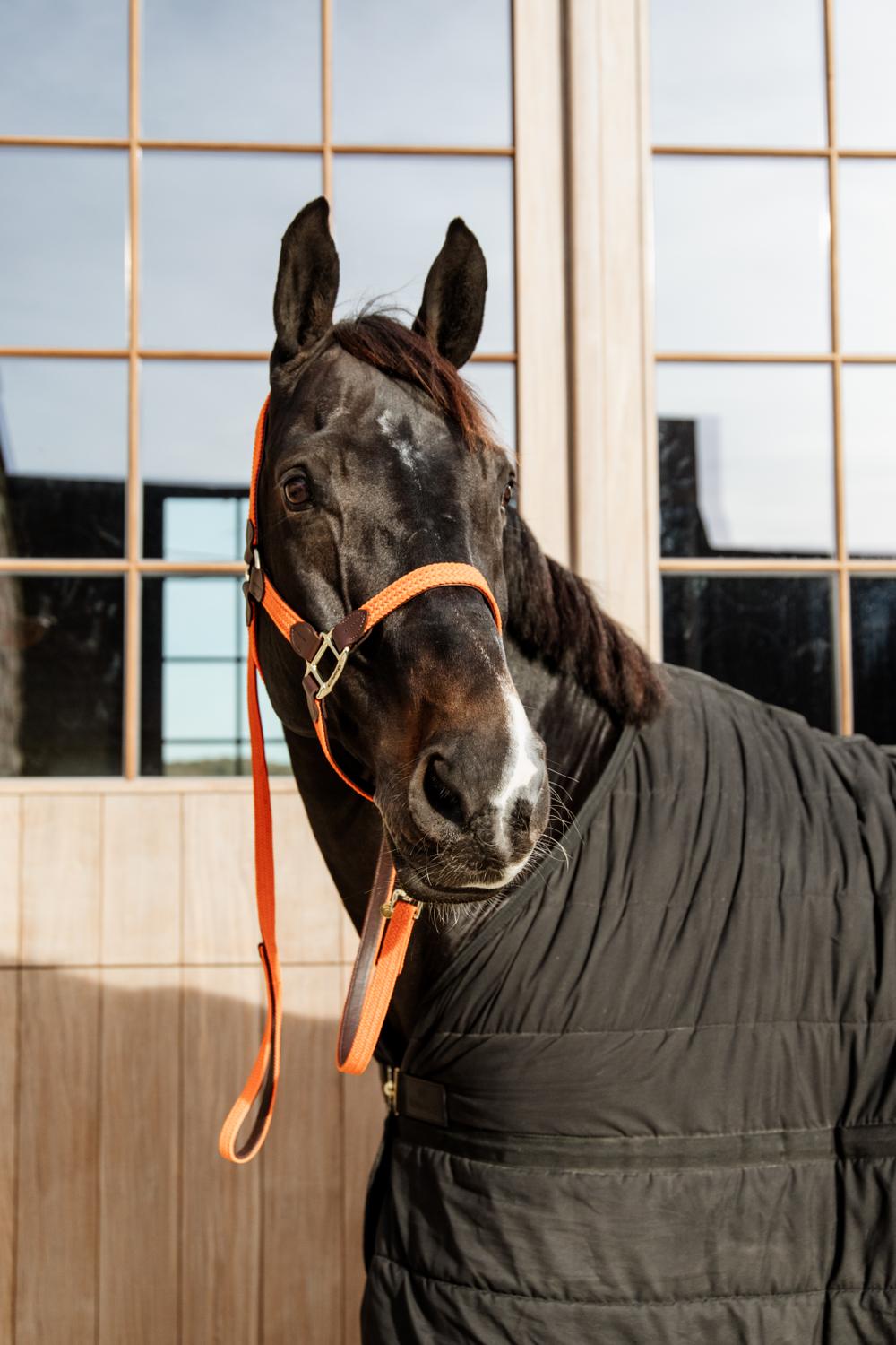 Leine Plaited Nylon - Kentucky Horsewear