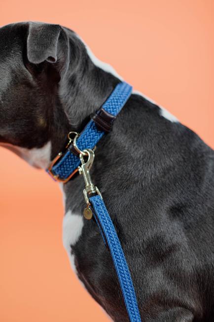 Hundeleine Plaited Nylon 200 cm