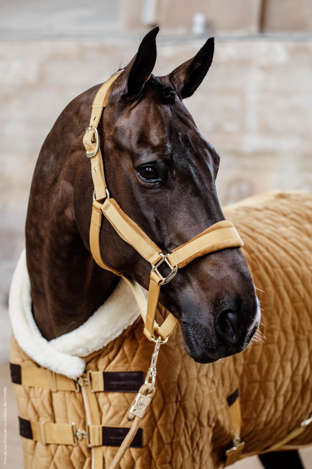 Führstrick Basic - Kentucky Horsewear