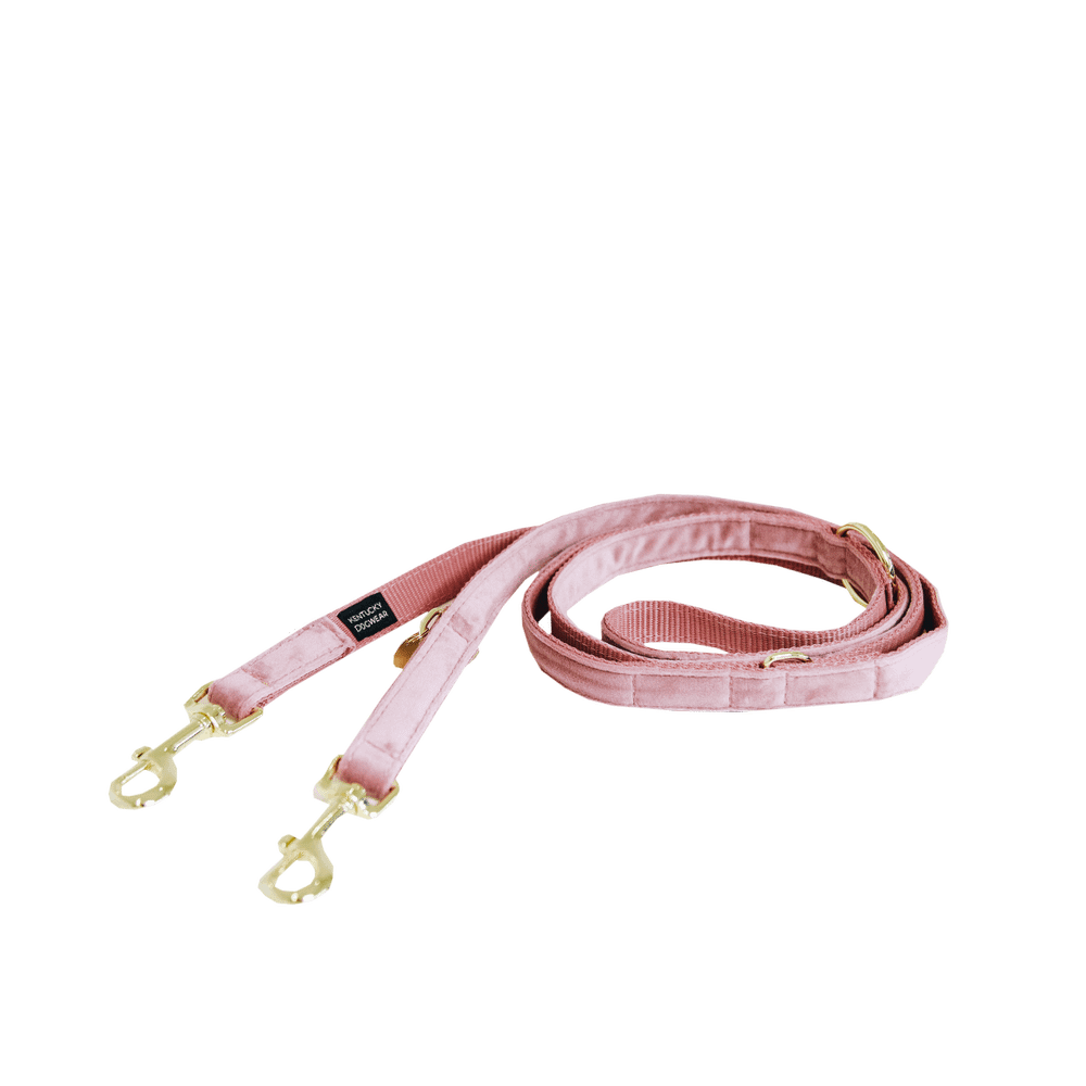Hundeleine Velvet 200 cm - Kentucky Dogwear