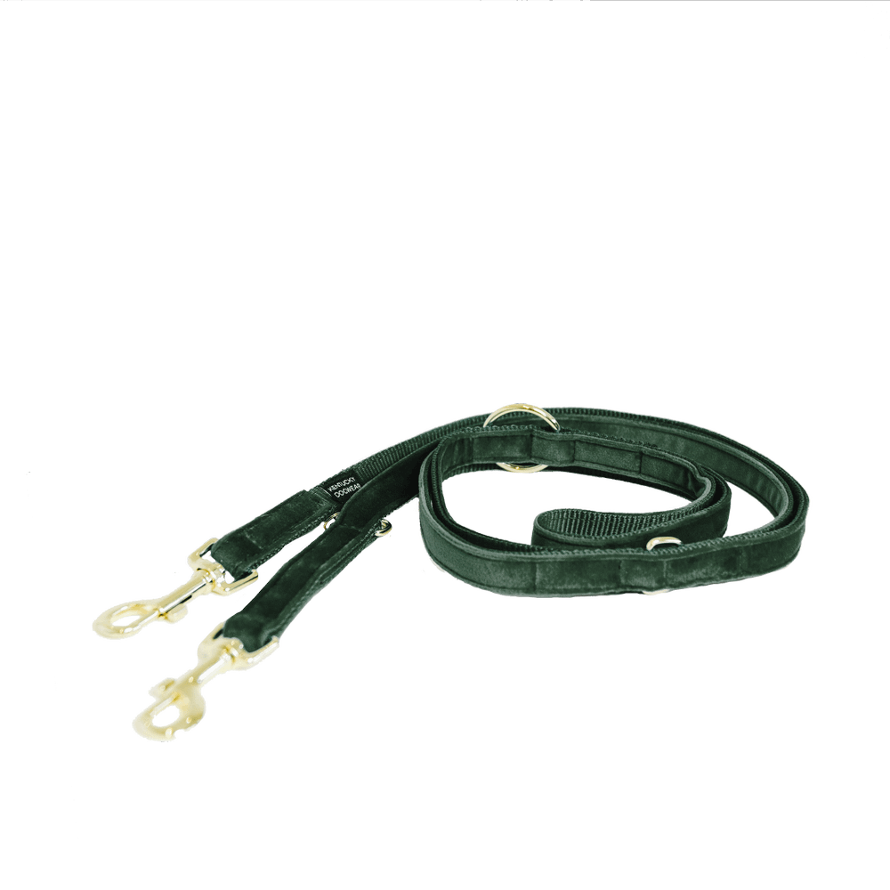 Hundeleine Velvet 200 cm - Kentucky Dogwear