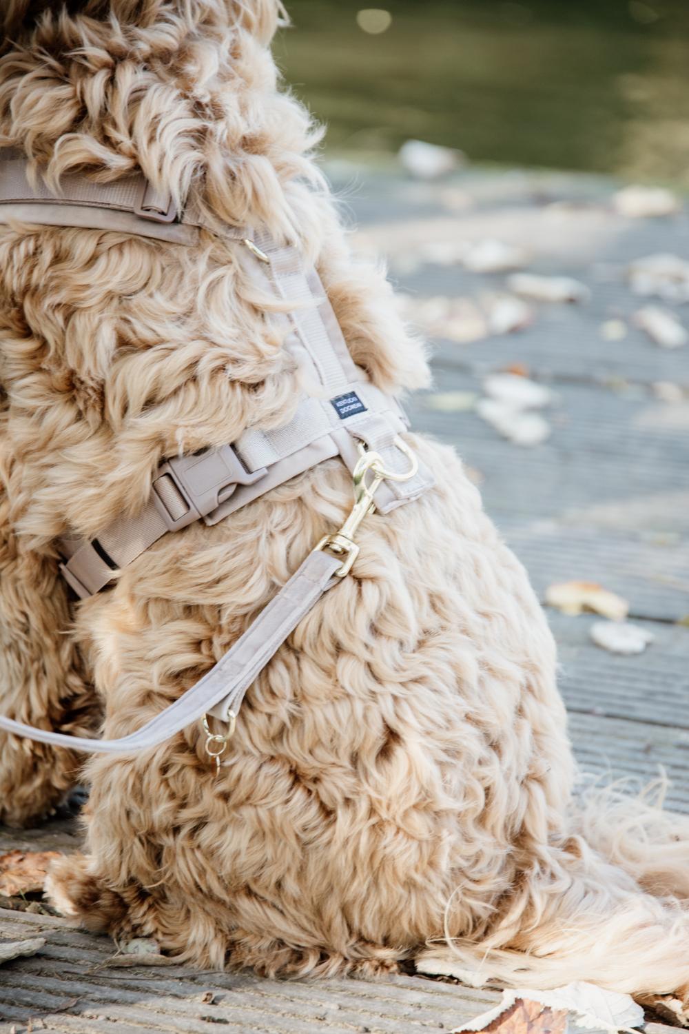 Hundeleine Velvet 200 cm - Kentucky Dogwear