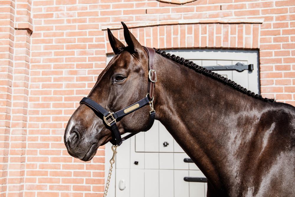 Anatomisch Nylon Halfter - Kentucky Horsewear