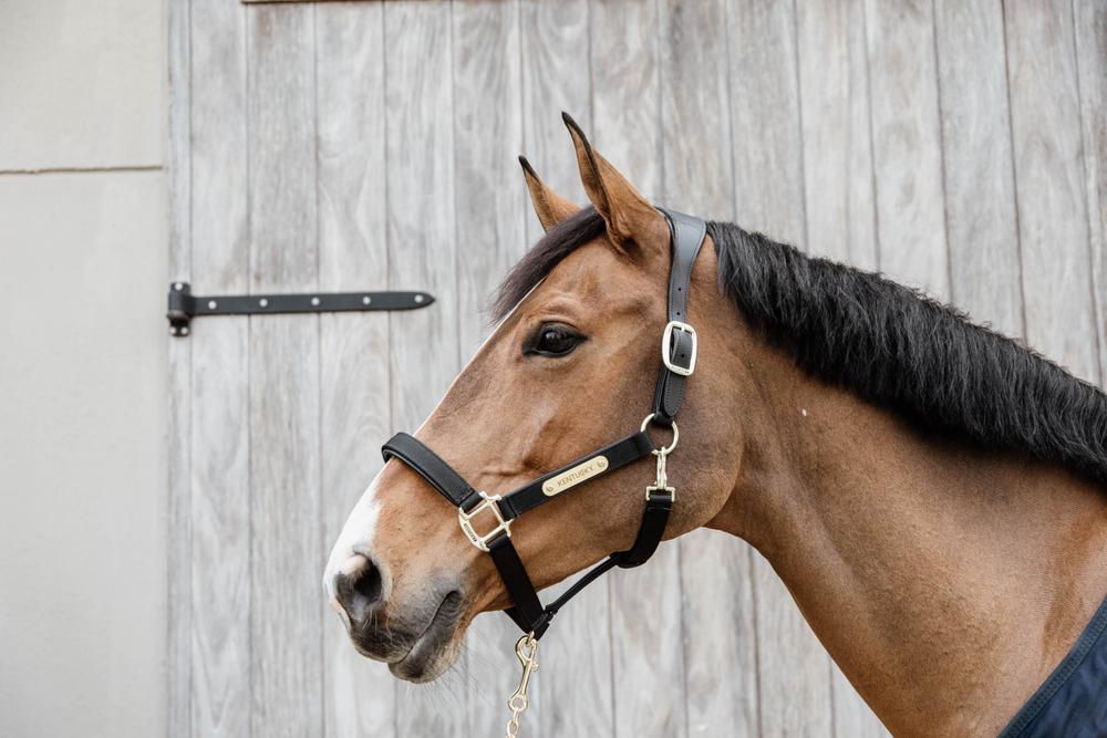 Anatomisch Nylon Halfter - Kentucky Horsewear