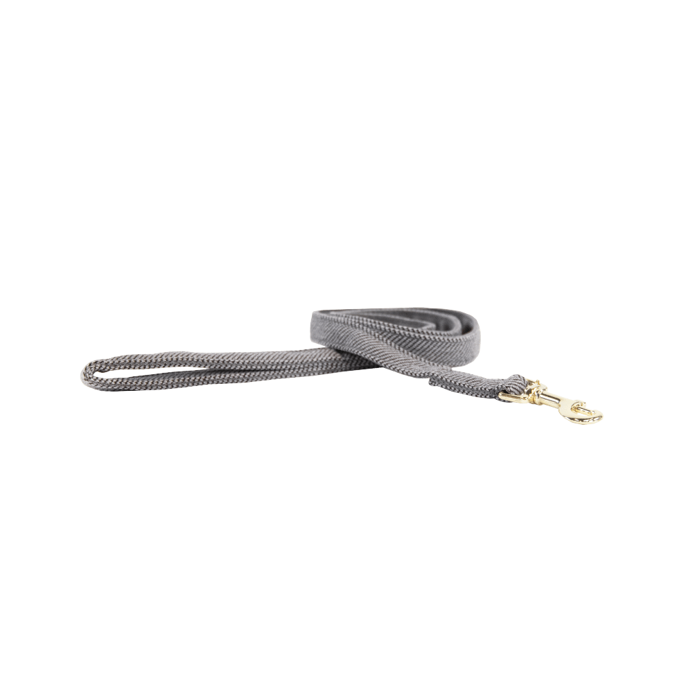 Hundeleine Wolle Kurz - Kentucky Dogwear