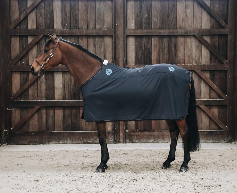 Magnetic Rug Recuptex