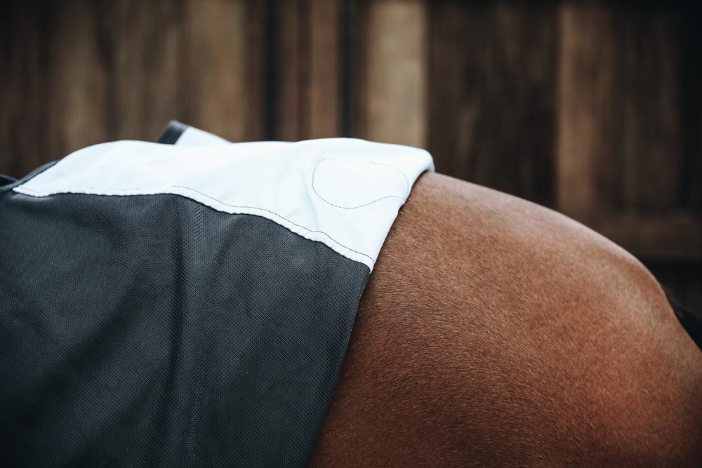 Magnetic Rug Recuptex