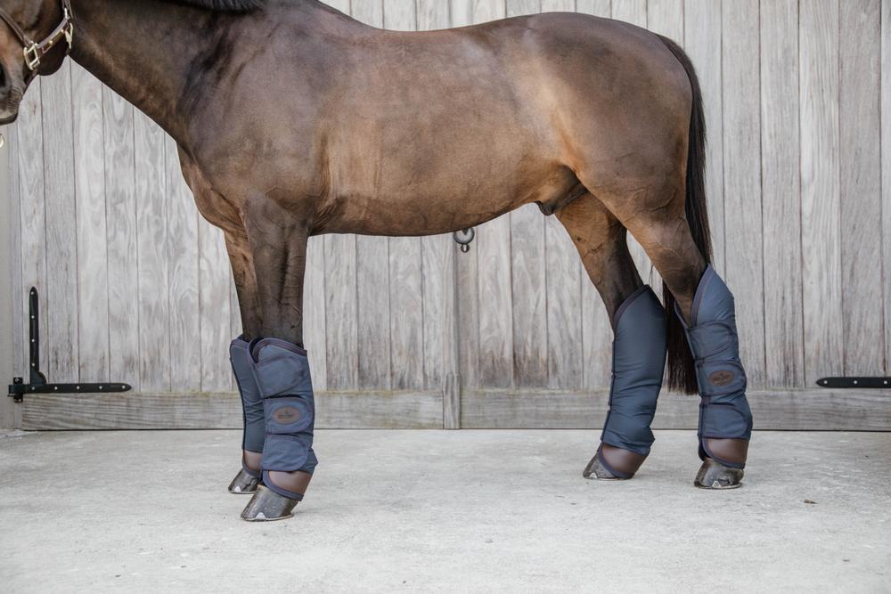 Transport Gamaschen - Kentucky Horsewear